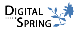 Digital Spring - Online Marketing & E-Commerce Solutions